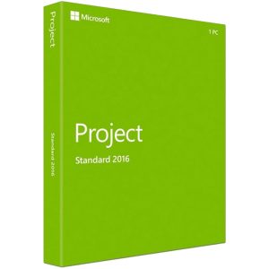 Project 2016 Standard